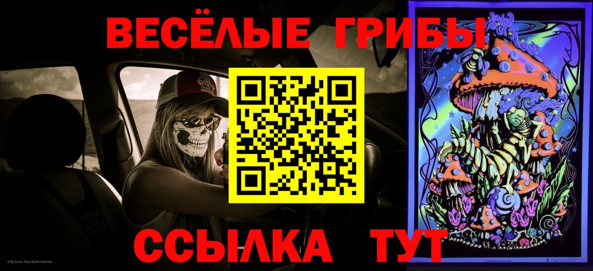 Псилоцибиновые грибы мицелий Кузнецк