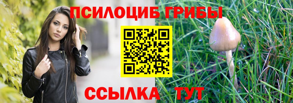 Кузнецк  Галлюциногенные грибы прущие грибы  Галлюциногенные грибы мицелий  Вход с VPN 